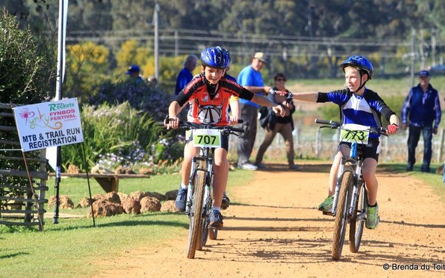 Gansbaai Funky Fynbos Festival